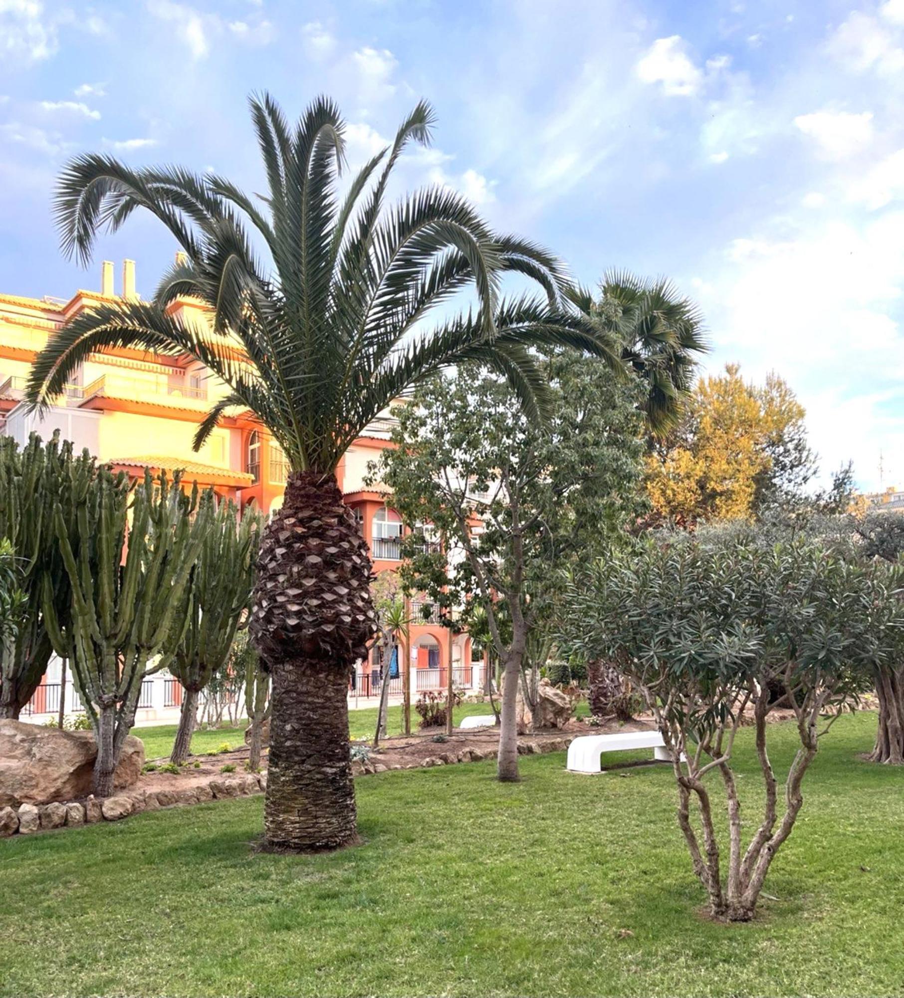 Grace Apartment Torrevieja Luaran gambar